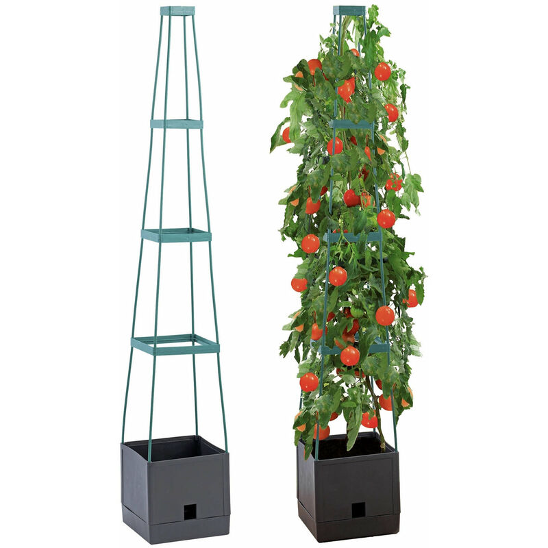 Pot avec supports pour la culture de tomates, de plantes grimpantes, 150 cm