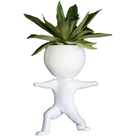 Pot créatif pour succulentes fitness – Parfait pour salle de sport, yoga ou musculation – Mini pot déco pour bureau ou maison