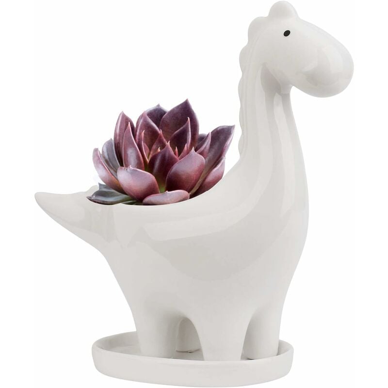 Fei Yu - Pot de Céramique Succulente avec Soucoupe, Pot de Fleur Cactus Forme de Dinosaure, Mini Intérieur Pot de Plante Cadeau Décoration pour