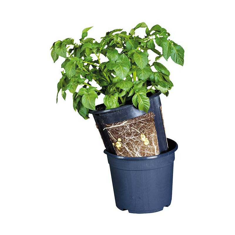 Esschert Design - Pot de culture Pommes de terre 30 cm