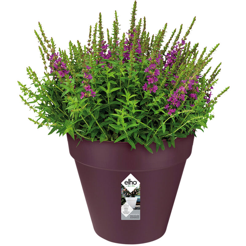 Elho - Bac à fleurs rond jardinière Mûre violet en plastique pour extérieur jardin terrasse pot de fleurs 5.5 l