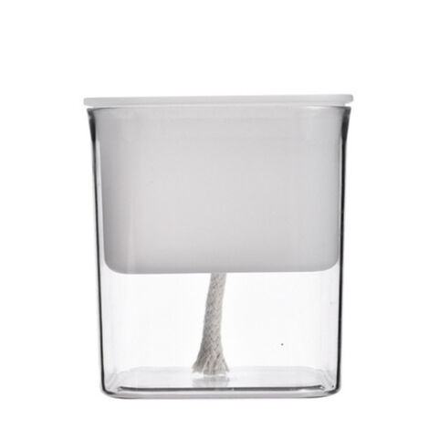 Pot de Fleurs à Arrosage Automatique pour Intérieur, Bureau et Maison - Récipient Autonome Transparent