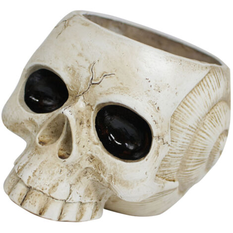 Pot de Fleurs à Crâne Résine - Pot Gothique pour Succulentes - Décoration Halloween et Bureau - Résine Synthétique - Dimensions 13.5x11x9.2cm - 1 Pièce