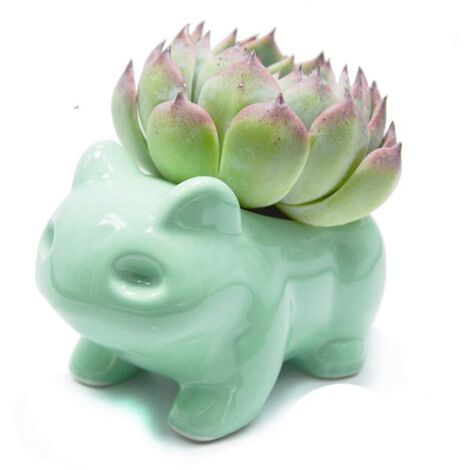 Pot de fleurs à faire soi-même, joli pot en céramique décorative, vase en céramique vert 9 x 4,8 x 5,4 cm