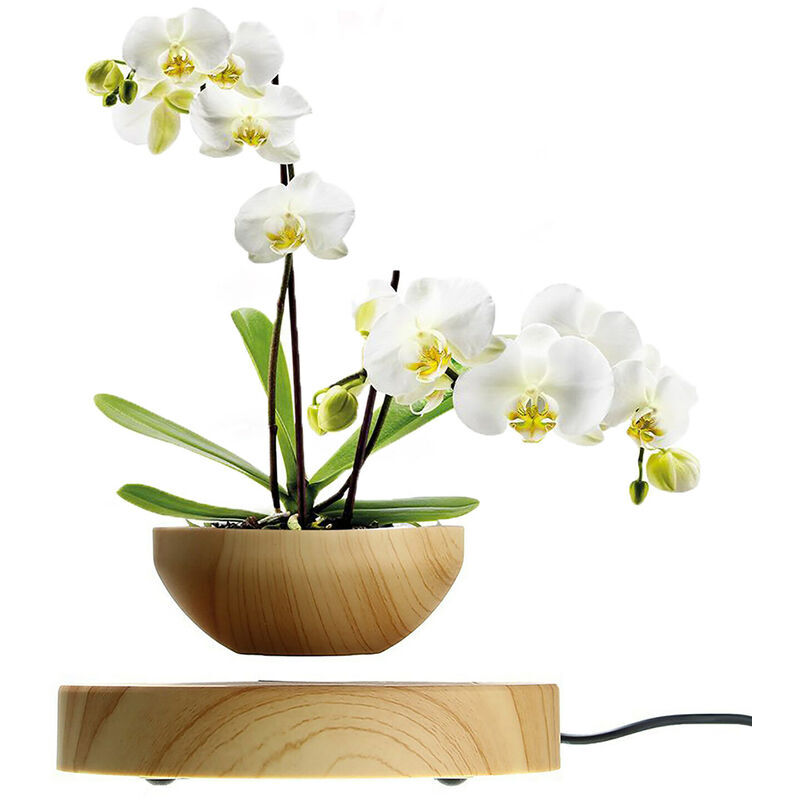 Pot de fleurs à lévitation magnétique Air Bonsai Pot Flottant Pot de plantes rotatif pour la décoration d'affichage de bureau à domicile (plante non