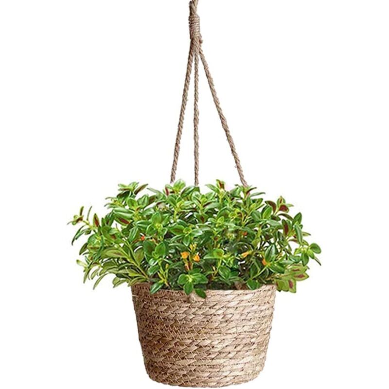Pot de Fleurs à Suspendre en Corde de Jute, Suspendu Panier Tissé, Pots de Plantes, Jardinière Suspendue en Corde, Panier Jardinière Suspendue Pot