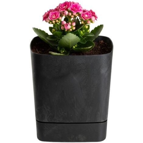 Pot de fleurs CUBI avec soucoupe, béton noir recyclé, 16 x 16 cm