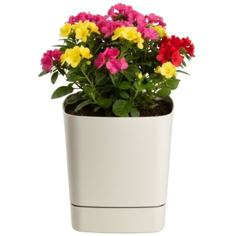 Pot de fleurs CUBI beige recyclé avec soucoupe 19x19 cm
