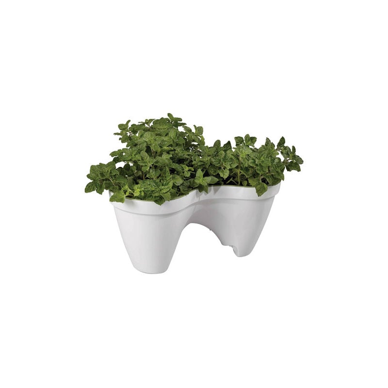 Porte-pot pliable triple ivy plant
