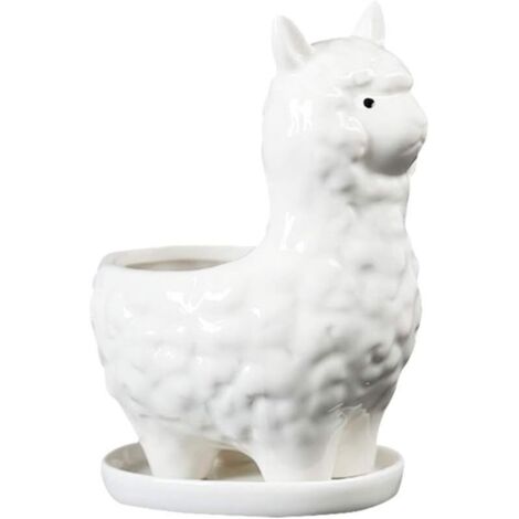Pot de Fleurs en céramique avec Trou de Drainage et Soucoupe pour Plantes à Cactus et Plantes à Cactus, Cadeau (Blanc), Céramique, Blanc, 12  15cm