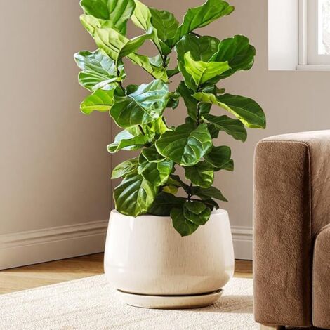 Pot de Fleurs en Céramique, Pot pour Plantes 30 cm avec Trou de Drainage et Soucoupe, Pot de Fleurs d’Intérieur Durable pour Décoration Moderne de la Maison, Beige