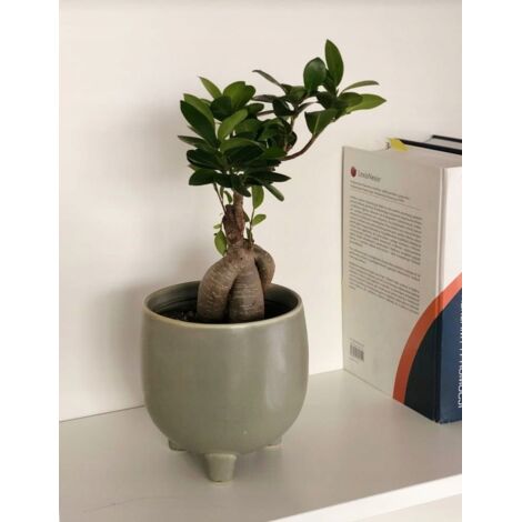 Pot de fleurs en céramique sur pieds 12 cm olive