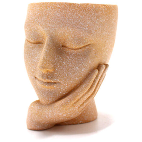 Pot de Fleurs en Résine Artisanal avec Design Innovant de Visage - Décoration de Bureau pour Plantes Succulentes - 6.5cm x 8cm x 9cm