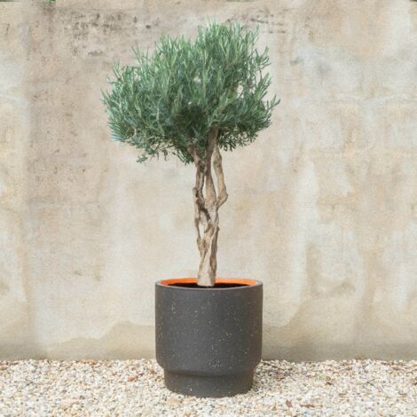 Pot de fleurs Jeannot - Ø38 cm