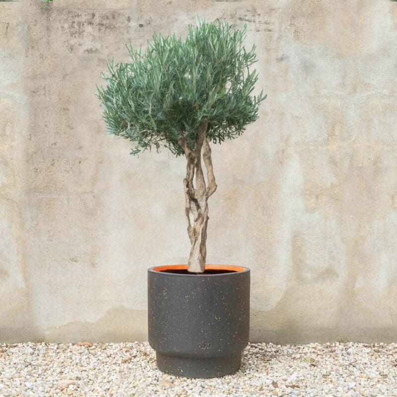 Pot de fleurs Jeannot - Ø38 cm