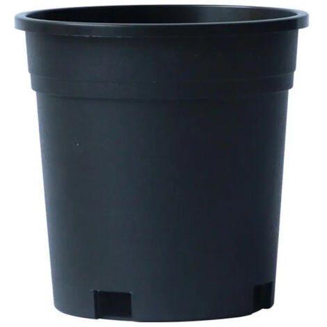 Pot de fleurs, pot de table, fleur séchée