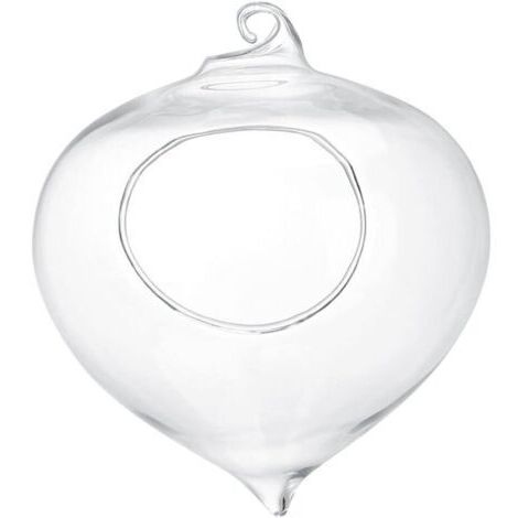 Pot de fleurs pour plantes succulentes, vase en verre suspendu, décoration de jardin