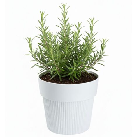 Pot de fleurs recyclé SILVA LINE blanc h11,5 x 13,2 cm
