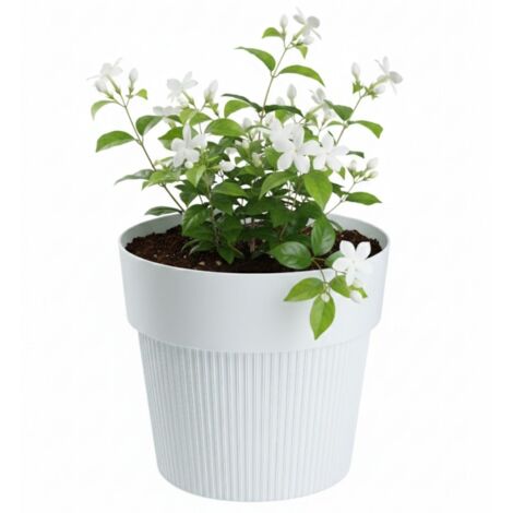Pot de fleurs recyclé SILVA LINE blanc h12,7 x 14,5 cm