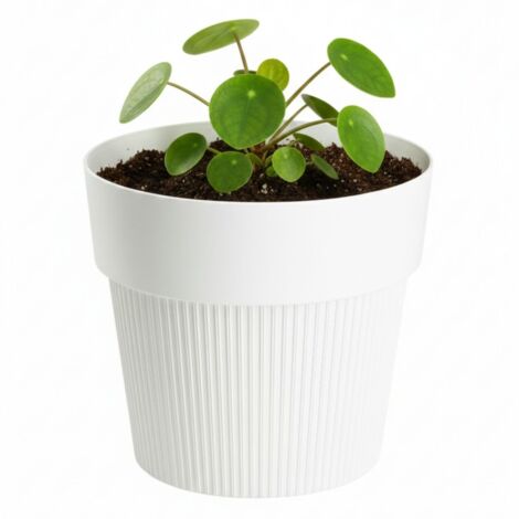 Pot de fleurs recyclé SILVA LINE crème h11,5 x 13,2 cm