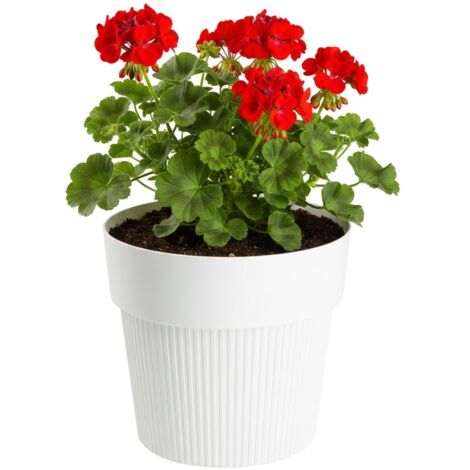 Pot de fleurs recyclé SILVA LINE, crème, h17,4 x 20 cm