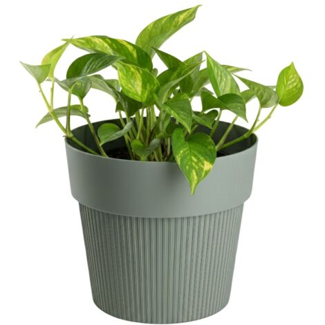 Pot de fleurs recyclé SILVA LINE, gris-vert, h12,7 x 14,5 cm