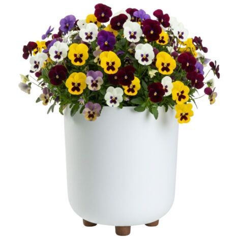 Pot de fleurs TERRA sur pieds, recyclé, blanc, h27,4 x 24,2 cm