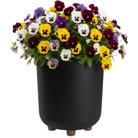 Pot de fleurs TERRA sur pieds, recyclé, noir, h27,4 x 24,2 cm