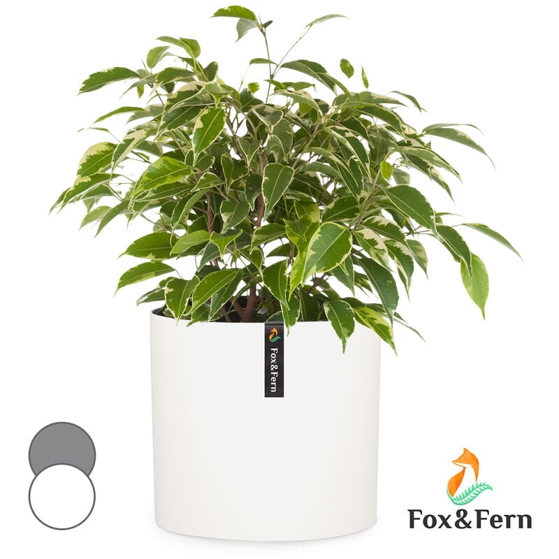 Fox&fern - Pot de fleurs Venlo polystone intérieur et extérieur 3 tailles - blanc mat