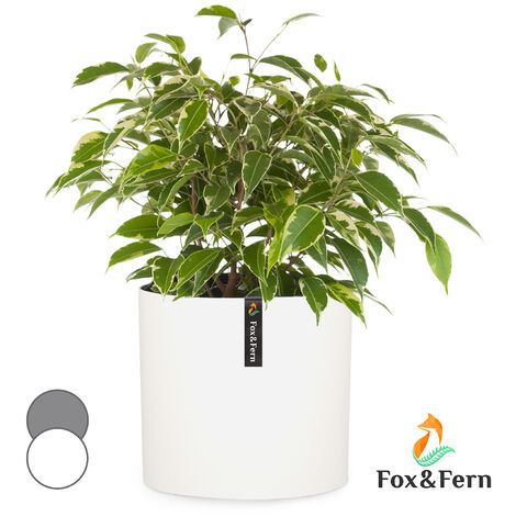 Pot de fleurs Venlo polystone intérieur et extérieur 3 tailles - blanc mat - blanc mat