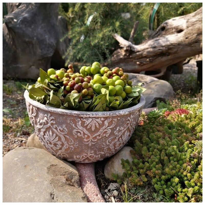 Pot de fleurs vintage béton 19cm rond Cache-pot gris résistant aux intempéries Shabby ornements Plat à plantes 10cm de haut - gris