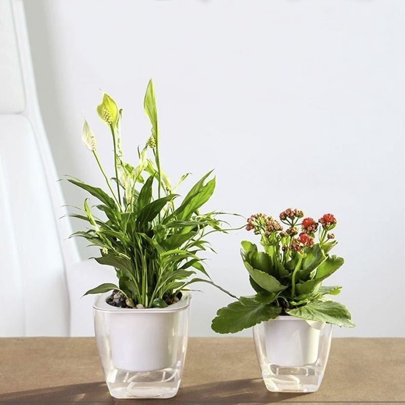 Pot de fleurs/pot à arrosage automatique pour fleurs et plantes - petit