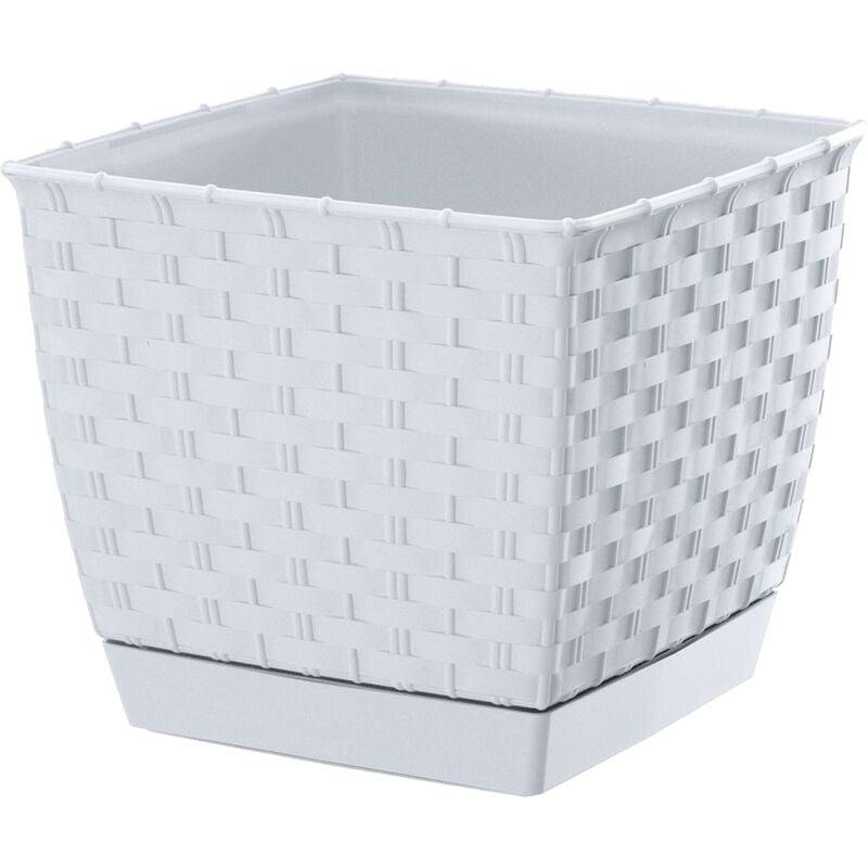 Prosperplast - Pot de ratolla carré 2,5L, dimensions (mm) 165x165x142, couleur blanche