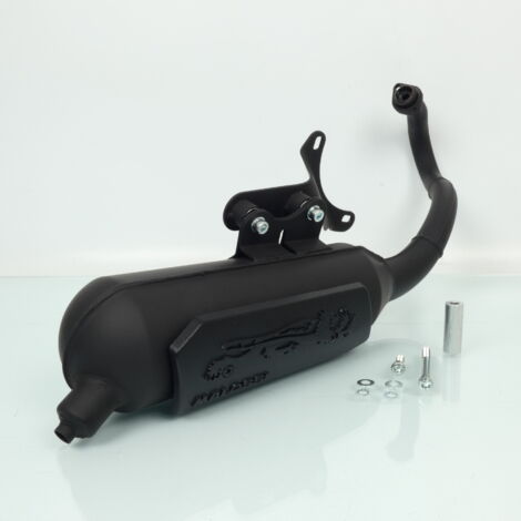 Pot échappement Malossi Wild Lion pour scooter Gilera 50 Runner