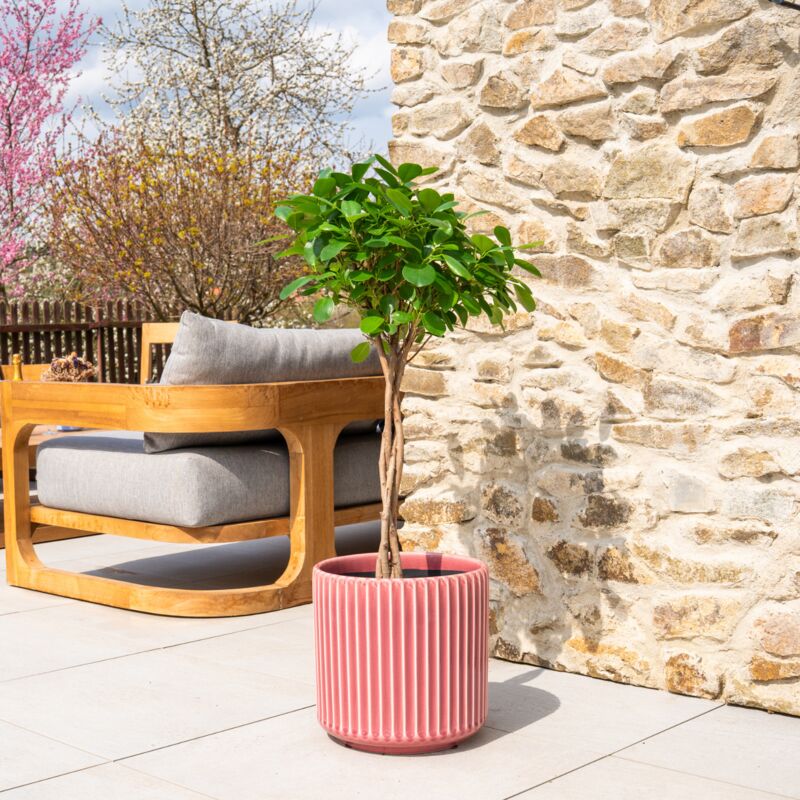 Provencelia - Pot grande taille d'extérieur london 29x30cm fait main en terre cuite émaillée résistant au gel, rose