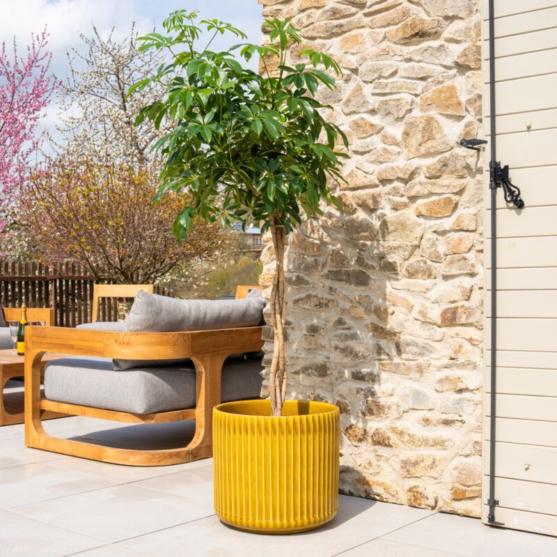 Provencelia - Pot grande taille d'extérieur london 42x39cm fait main en terre cuite émaillée résistant au gel, héliodore