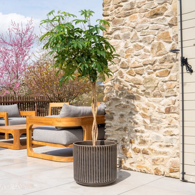 Provencelia - Pot grande taille d'extérieur london 42x39cm fait main en terre cuite émaillée résistant au gel, noir