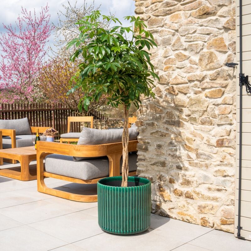 Provencelia - Pot grande taille d'extérieur london 42x39cm fait main en terre cuite émaillée résistant au gel, vert sapin