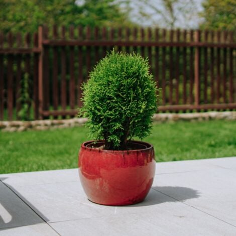 PROVENCELIA Pot grande taille d'extérieur ROMULUS 31x23cm rouge tropical, fait main en terre cuite émaillée, résistant au gel