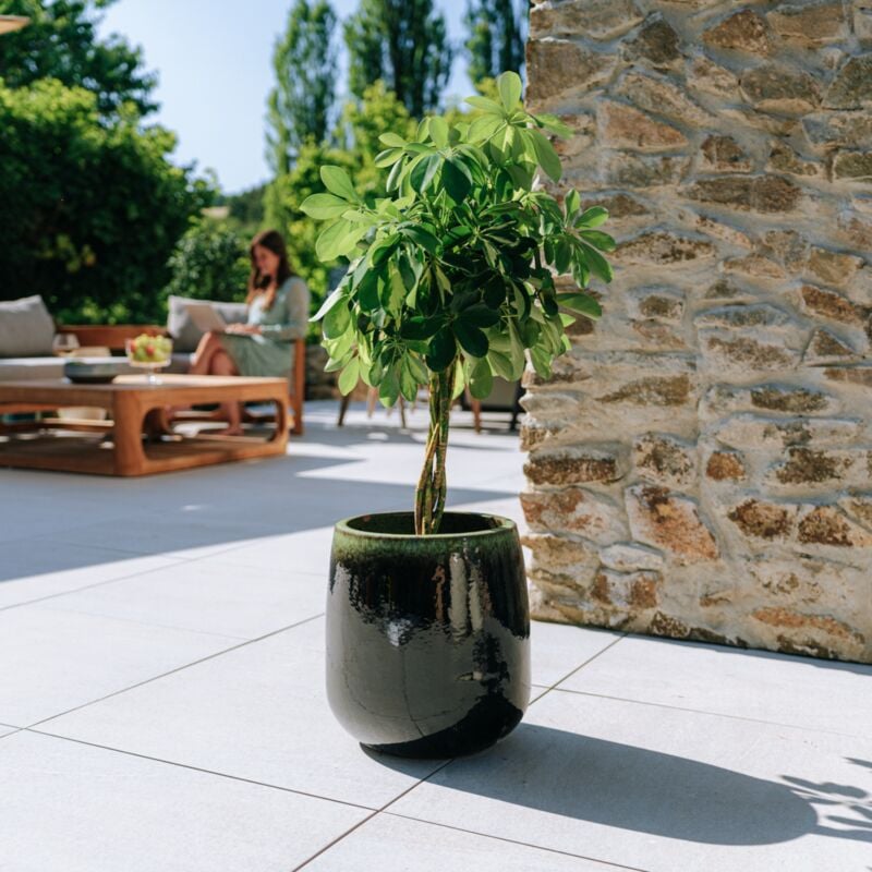 Provencelia - Pot grande taille d'extérieur socrate 32x33cm fait main en terre cuite émaillée résistant au gel, noir et vert