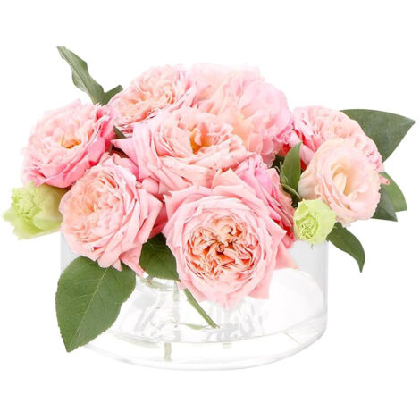 Pot hydroponique en acrylique transparent rond 12 trous - Support pour fleurs vase circulaire (15x15x6.5cm) - 1 pièce