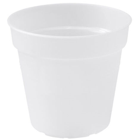 Pot Orchidée Green Basics D.15cm Transparent - Elho