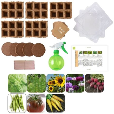 Potager d'une classe - 50 sachets de graines biologiques pour l'école
