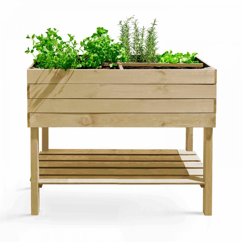 Carré potager rectangulaire sur pied 100 x 50 x 80 cm Topi