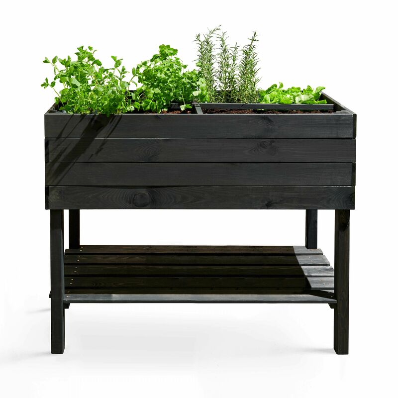 Carré potager rectangulaire sur pied 100 x 50 x 80 cm Topi