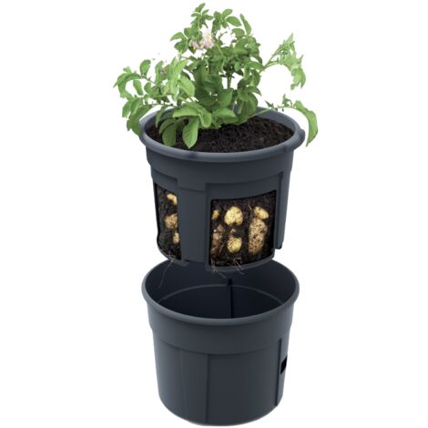 Potato Grower 400 Vaso rotondo