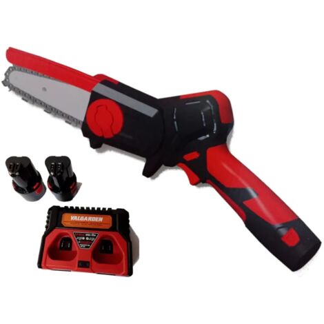 Potatore a batteria ValGarden XP 10 NP da 12,6V e 2,5Ah con 2 Batterie e Caricabatterie
