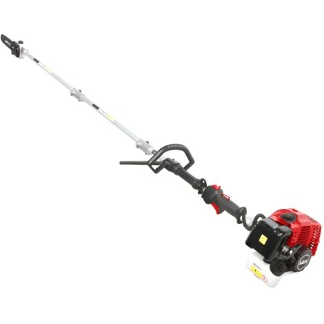 Potatore a Scoppio 32,6 cc Barra 25 cm Asta 2,68 m Professionale