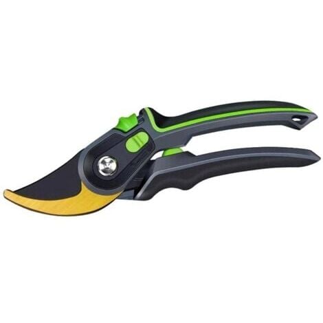 Potatura delle piante, orticoltura, potatore manuale, forbici da potatura, arbusti, forbici da giardino, utensile, forbici da potatura per rami, forbici da potatura per frutteti