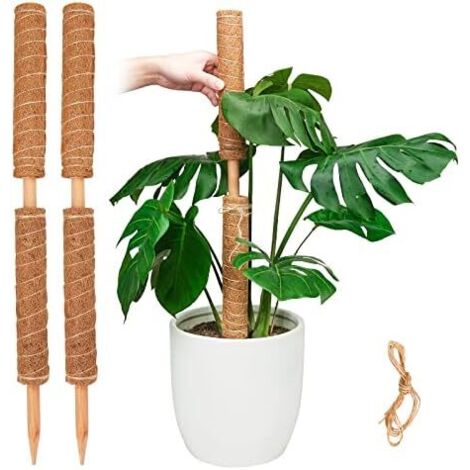 Poteau de Mousse, Support bâtons Plantes Extensibles, Piquets pour Plante en Pot d'intérieur, Treillis Coco 40cm Pothos et Autres Grimpantes - 4 pièces × 40 cm